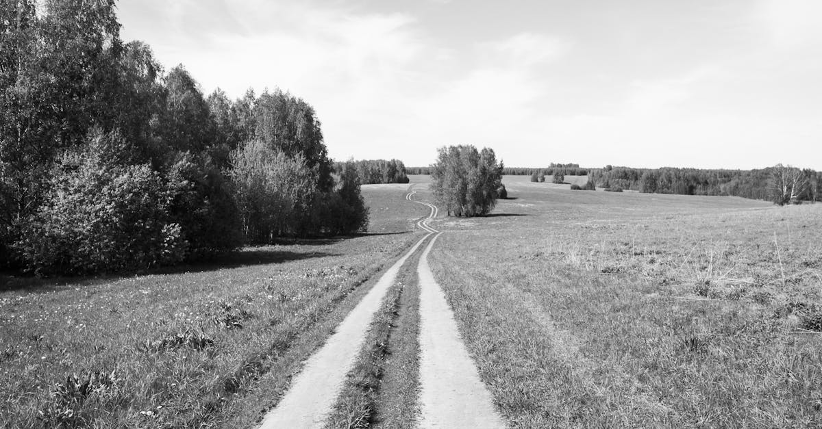 Descubra o Claude 4, o mais recente avanço em inteligência artificial. Mergulhe em um mundo onde inovação e desempenho se encontram, oferecendo soluções adaptadas às suas necessidades para potencializar seus projetos. Explore recursos revolucionários e transforme sua experiência digital.