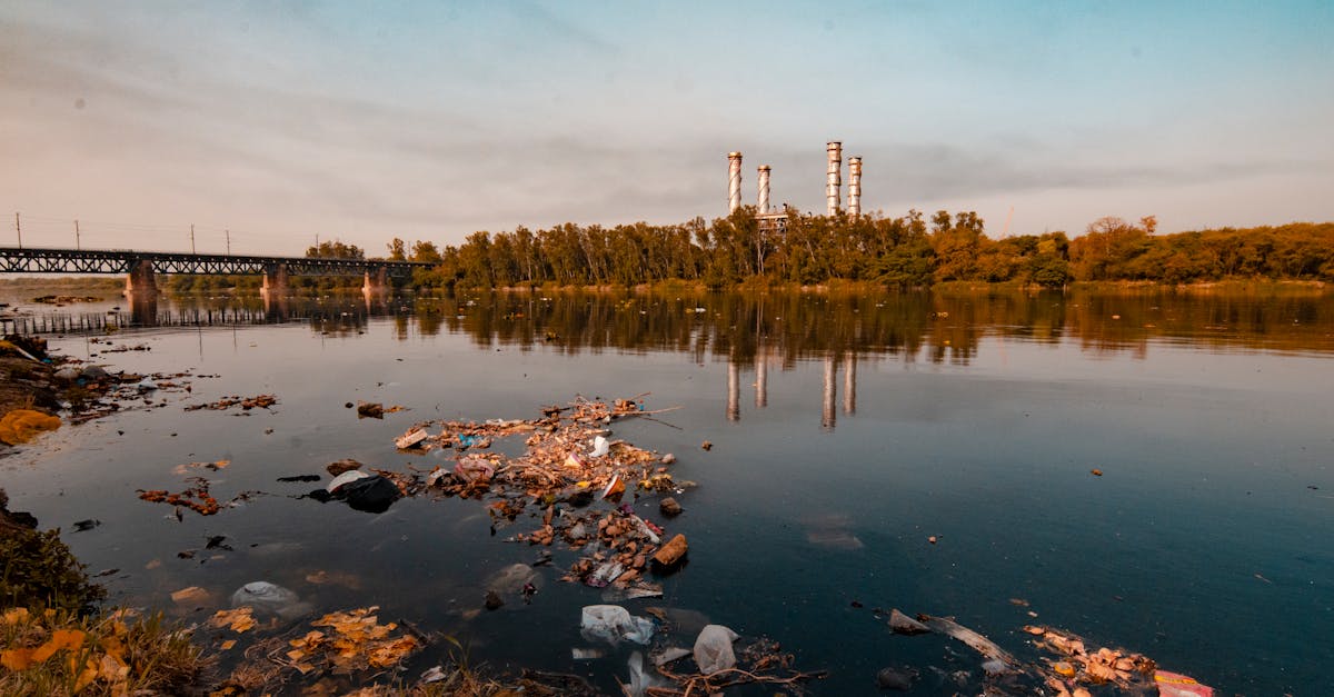 découvrez l'impact écologique de nos actions quotidiennes sur l'environnement. informez-vous sur les enjeux liés aux changements climatiques, à la biodiversité et aux ressources naturelles, et apprenez comment adopter un mode de vie plus durable.