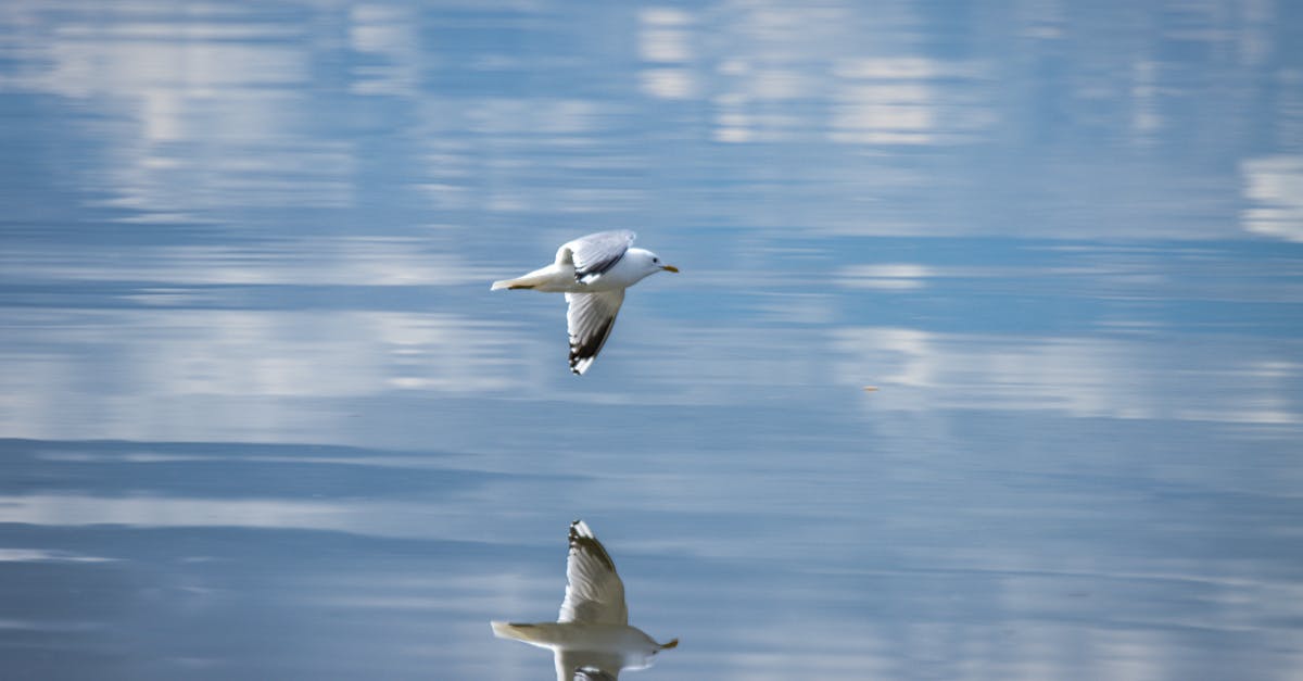 Scopri le ultime innovazioni e gli annunci chiave di Google I/O 2025. Partecipa agli incontri con esperti del settore ed esplora le nuove tecnologie che plasmeranno il futuro del digitale.