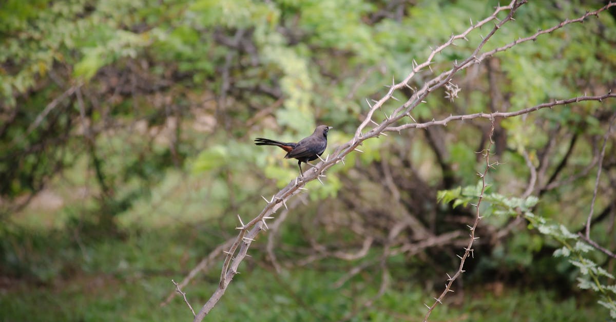 Frequently asked questions about Google I/O 2025: all your questions answered