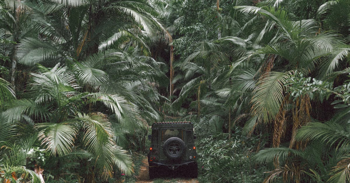 découvrez l'univers de land rover, synonyme d'aventure et de robustesse. explorez notre gamme de véhicules tout-terrain alliant performance, luxe et technologie pour vous accompagner sur tous les types de terrains. préparez-vous à vivre des expériences inoubliables avec land rover.