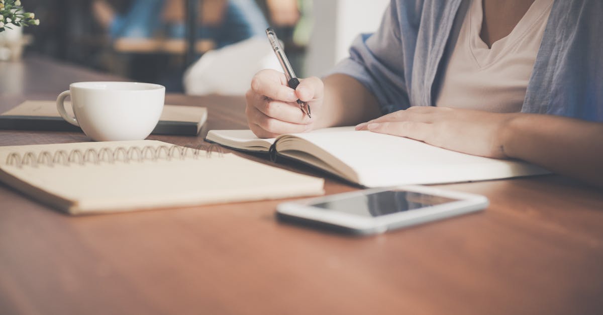 💼 Benefit from personalized support and mentoring