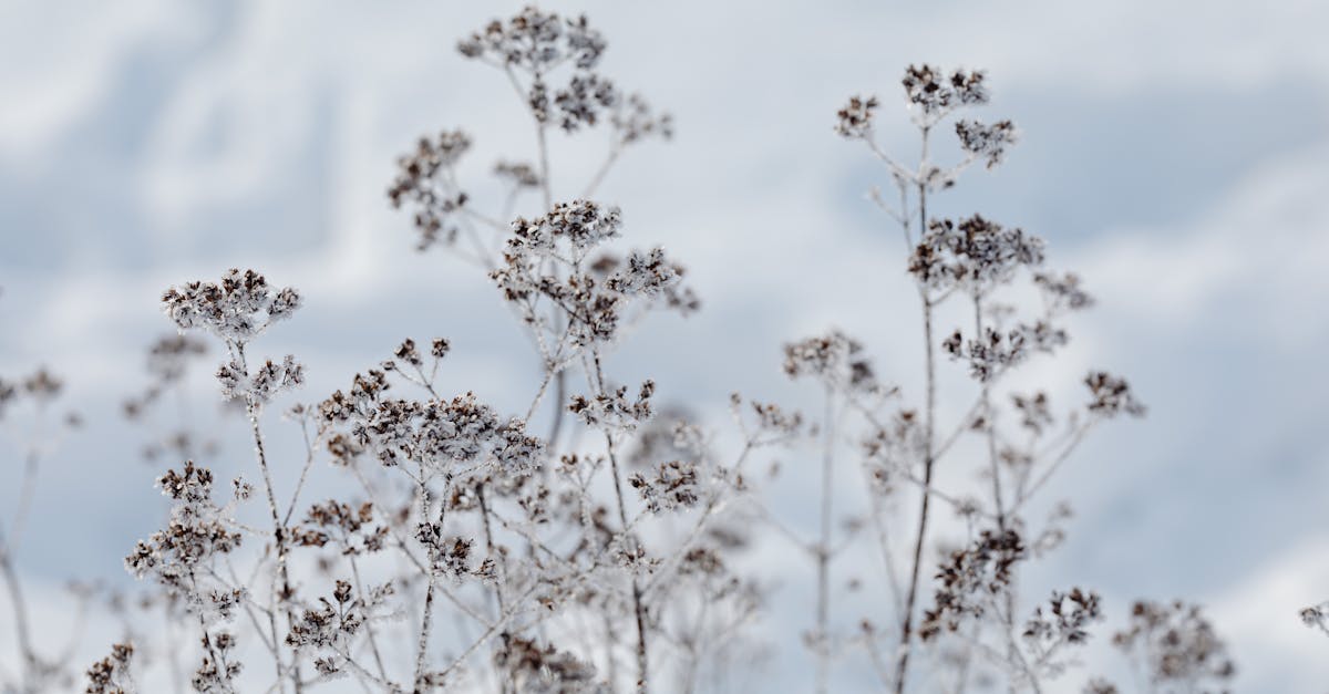 了解有关最低工资的所有信息:定义、发展、经济问题和对工人的影响。了解最低工资的现行法律和未来前景。