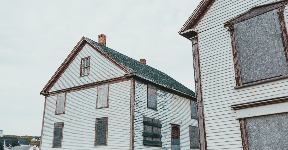 découvrez redo, votre nouveau compagnon pour réinventer vos idées et projets. plongez dans un univers où créativité et innovation se rencontrent pour donner vie à vos visions.