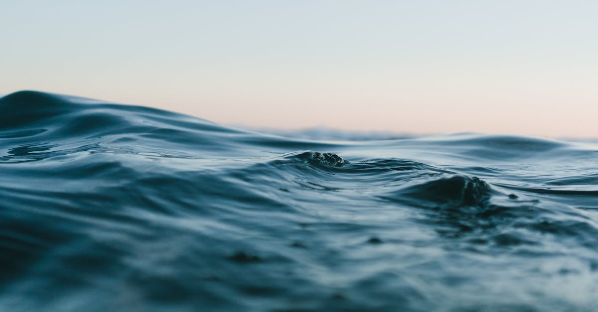 découvrez l'univers fascinant de la mer : ses paysages enchanteurs, sa biodiversité incroyable et les activités inoubliables qu'elle offre. plongez dans le monde marin et explorez ses mystères, que ce soit à travers des voyages, des sports nautiques ou la préservation de notre planète bleue.