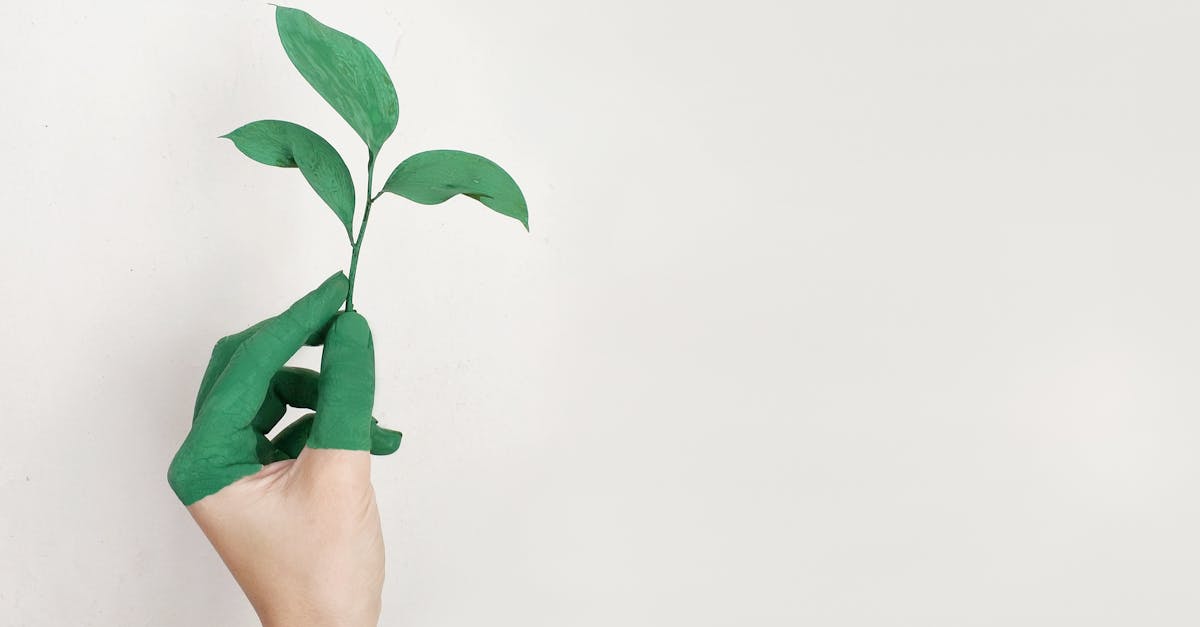 découvrez l'importance de la durabilité dans notre monde moderne. apprenez comment des pratiques durables peuvent préserver l'environnement, promouvoir l'économie circulaire et améliorer la qualité de vie pour les générations futures.