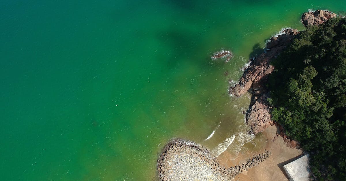 Reduction of non-biodegradable waste