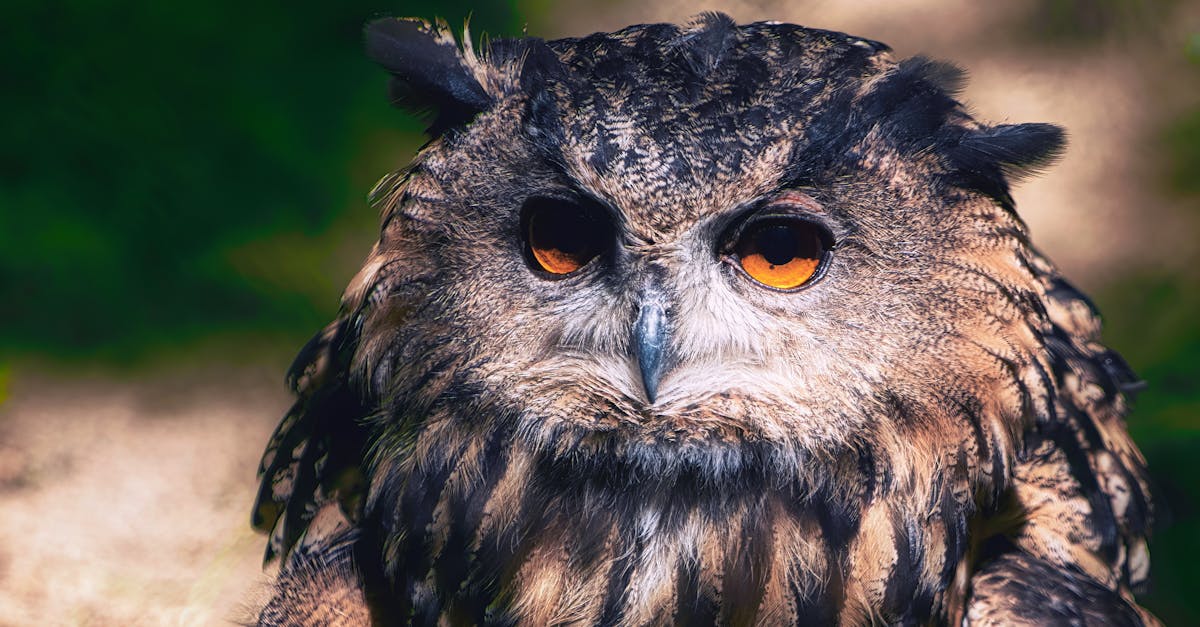 discover the fascinating world of artificial intelligence (AI), its revolutionary applications and its impact on our daily lives. learn how AI is transforming various industries and explore the latest innovations that are changing the way we work and live.