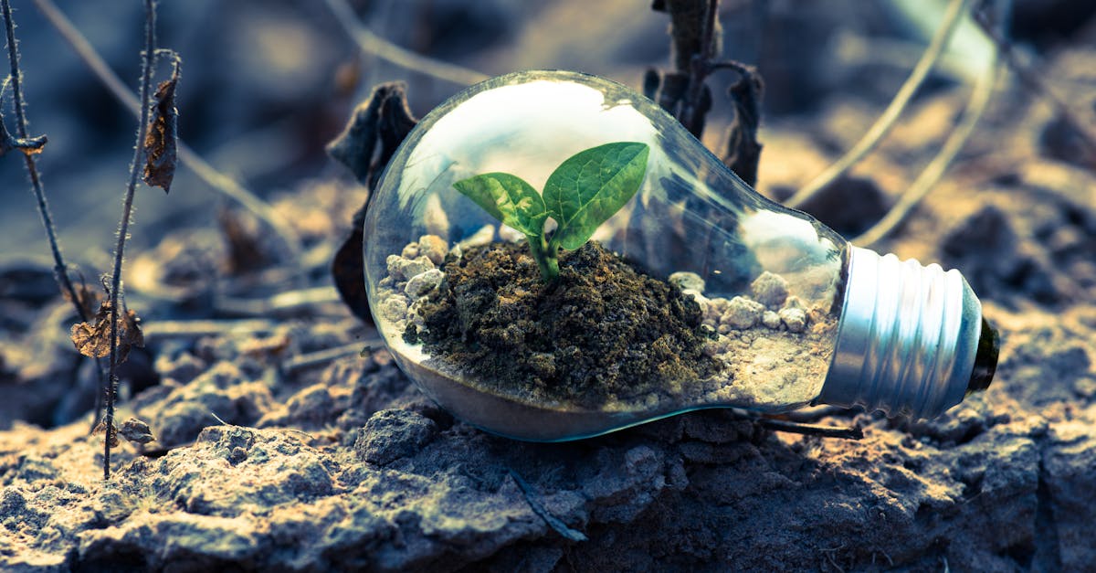 découvrez des stratégies efficaces pour stimuler la croissance de votre entreprise. apprenez à maximiser votre potentiel, à attirer de nouveaux clients et à développer vos ventes grâce à des conseils pratiques et des insights de professionnels du secteur.
