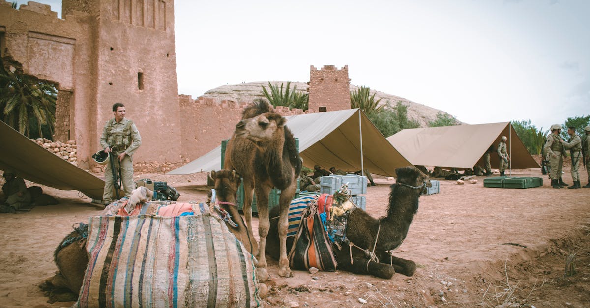 : त्रुटि या दुरुपयोग की स्थिति में कौन जिम्मेदार है? 🌍