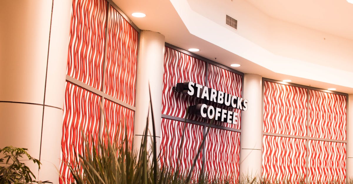 Venidom Cuisines Discovery Days: an authentic immersion experience for future franchisees