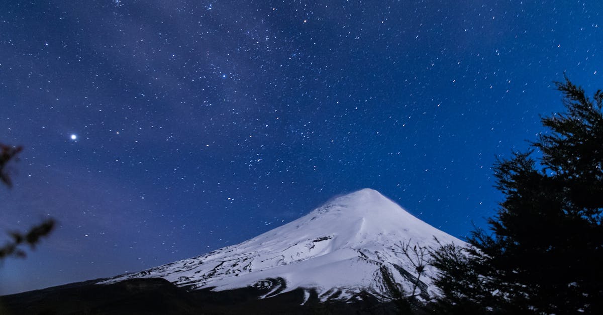 Backlinks y autoridad