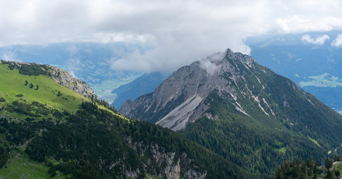 ¿Cómo puede optimizar su contenido para que aparezca en el resumen de IA?