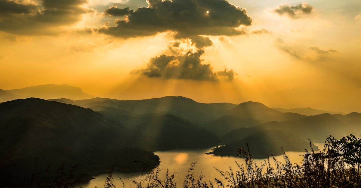 🌟 تحقق من توافقها مع الأجهزة والتنسيقات المختلفة