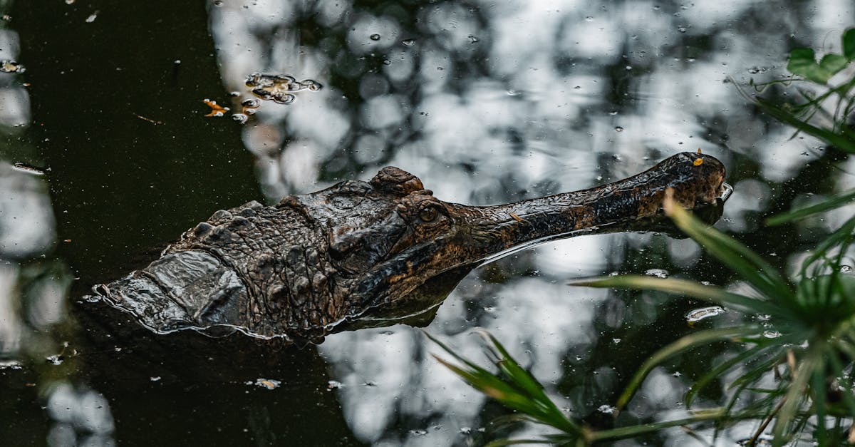🔧 谷歌将越来越多地整合自定义内容可见性的选项,包括 Instagram 帖子。