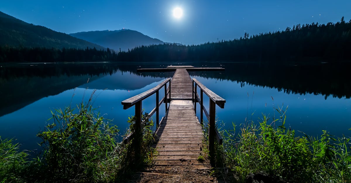 découvrez la beauté et la sérénité des lacs, des havres de paix au cœur de la nature. explorez des paysages enchanteurs, des activités nautiques, et la faune variée qui embellissent ces étendues d'eau magiques.