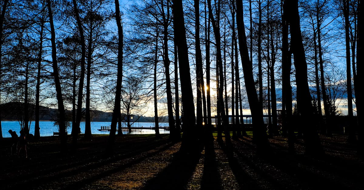 découvrez la beauté et la sérénité des lacs, des destinations idéales pour la détente, la pêche, et les activités de plein air. explorez des paysages enchanteurs, des eaux cristallines et des expériences inoubliables en pleine nature.