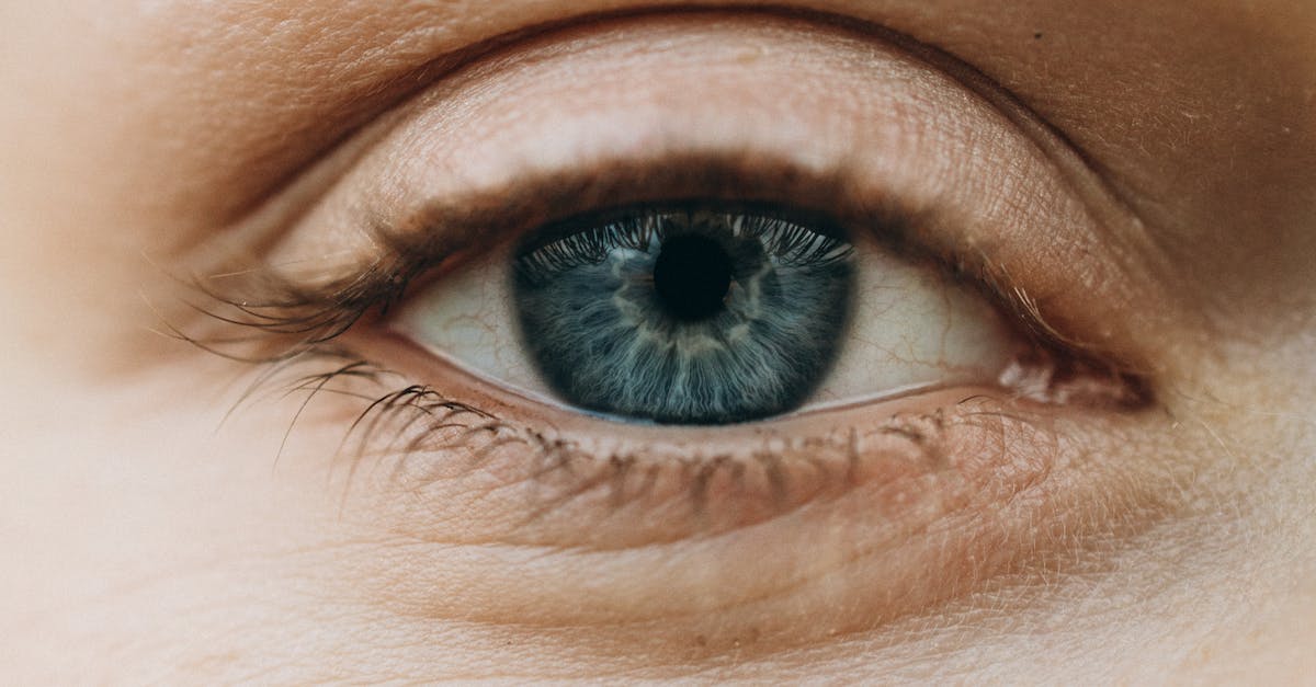 सेरेब्रल इन्फ्लुएंस