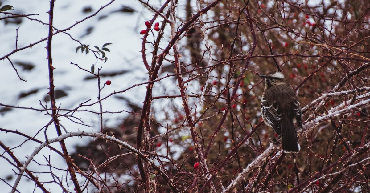 ऐतिहासिक स्थल
