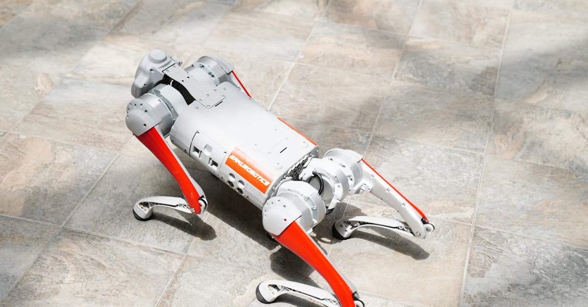 🚀 Desenvolva formatos interativos e multimídia