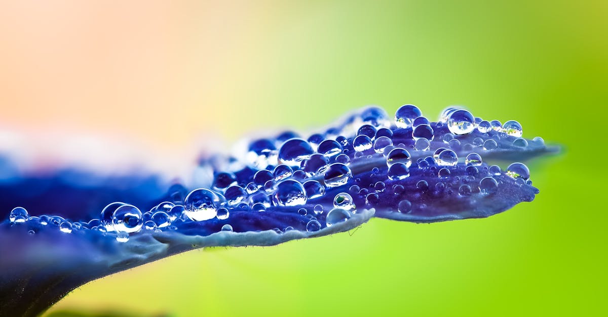 - प्रेरक करियर पथों को उजागर करके, मेंटरशिप कार्यक्रम विकसित करके और मीडिया और नेटवर्क में अधिक न्यायसंगत कवरेज सुनिश्चित करके।