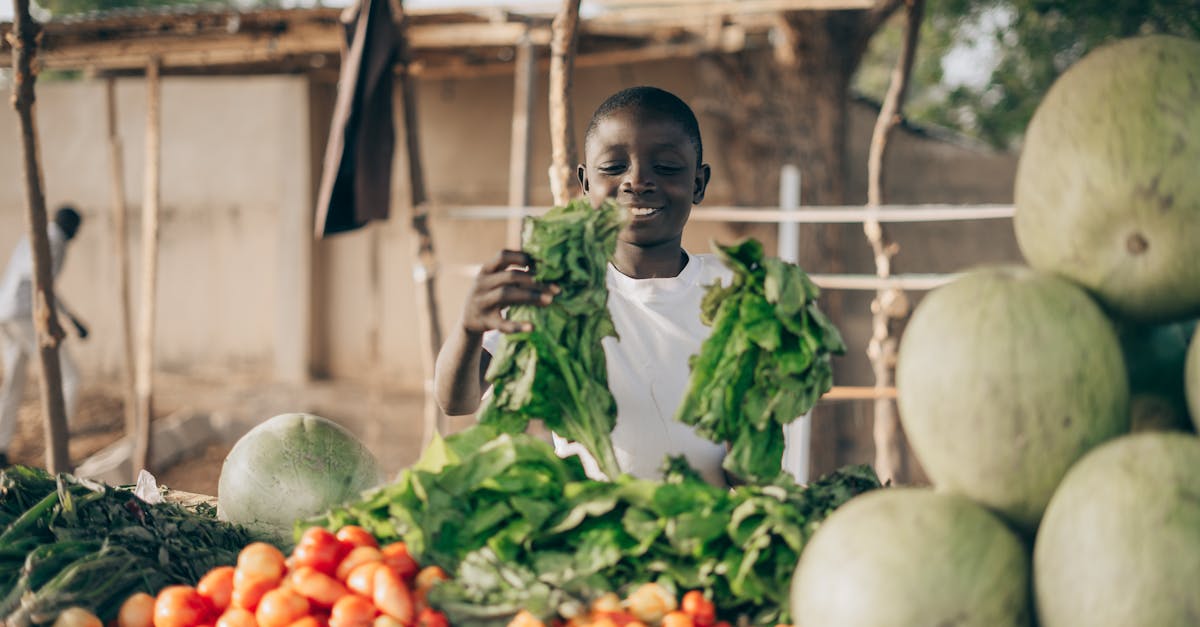 Вот обзор наиболее представительных профилей: