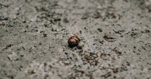 Cloudflare Introduces Pay Per Crawl to Monetize AI Access to Your Content