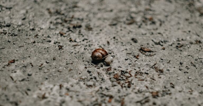 découvrez le concept de 'pay per crawl', une stratégie innovante qui vous permet de maximiser votre visibilité en ligne. apprenez comment cette approche de paiement basée sur le nombre de visites peut transformer votre trafic et optimiser votre roi.