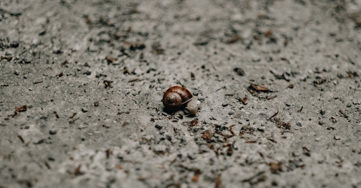 découvrez le concept de 'pay per crawl', une stratégie innovante qui vous permet de maximiser votre visibilité en ligne. apprenez comment cette approche de paiement basée sur le nombre de visites peut transformer votre trafic et optimiser votre roi.