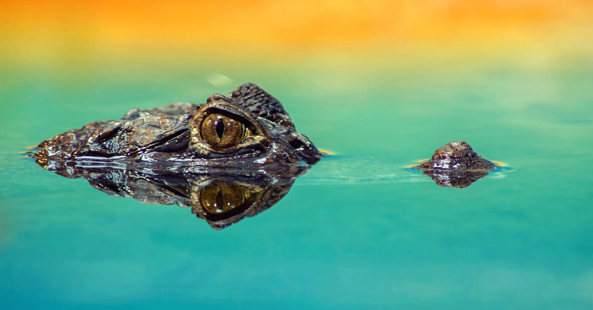 discover our detailed salary scale which helps you understand the different salary levels in your sector. find out about average salaries, evaluation criteria and career progression opportunities.