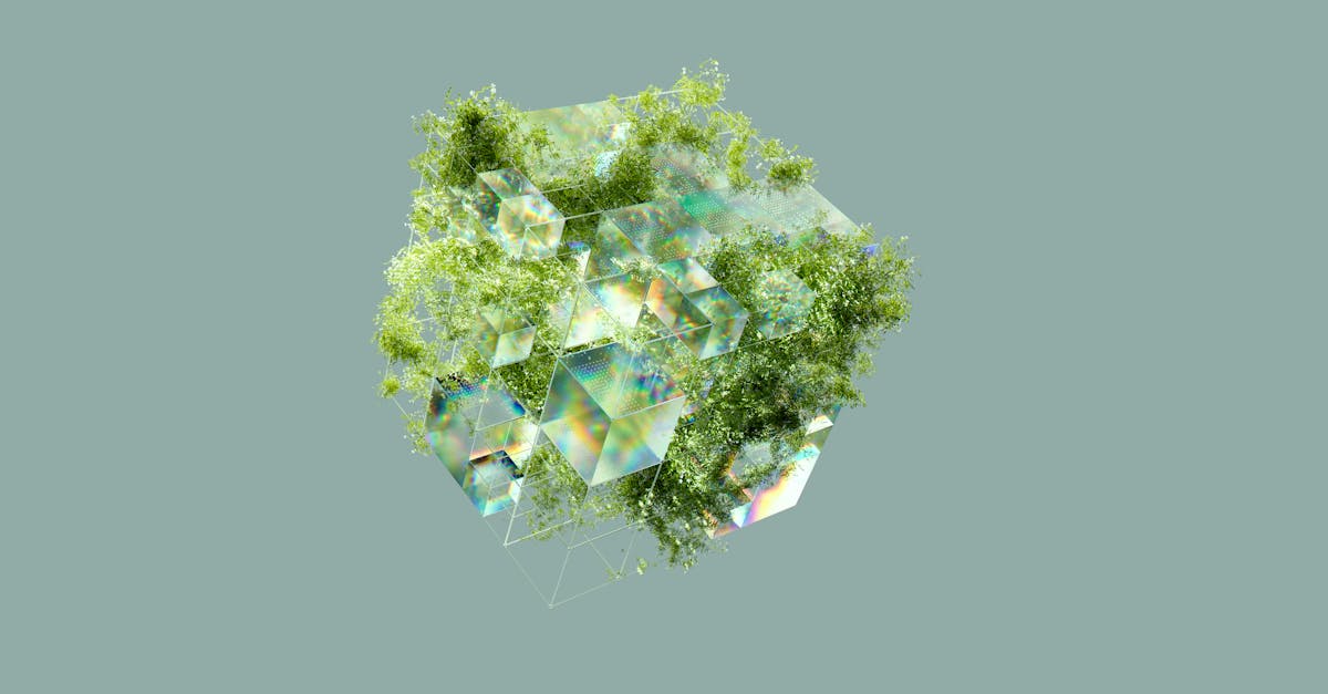 A highly personalized experience to meet all your needs