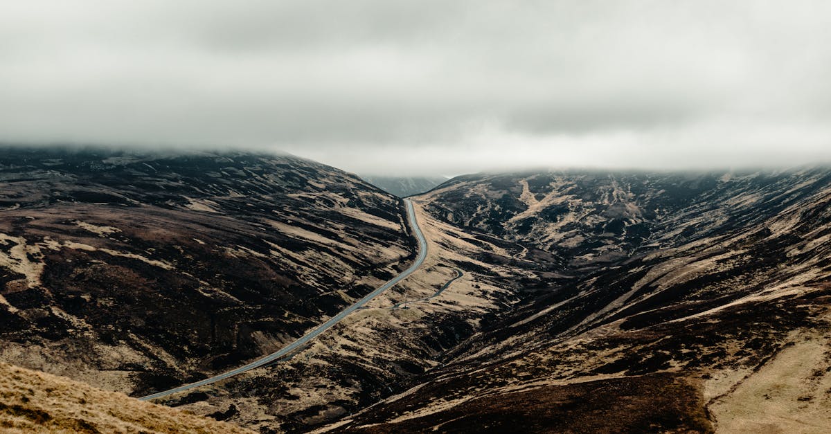 Os empreendedores presentes demonstram o desejo de pensar fora da caixa, baseando-se em exemplos concretos de inovação. Por exemplo, algumas startups estão desenvolvendo aplicativos móveis para gestão agrícola ou gestão de energia solar, em uma região onde a riqueza cultural continua sendo um motor na concepção de soluções adequadas. Os desafios associados à inovação são inúmeros: garantir o desenvolvimento sustentável, criar empregos e atrair a atenção de investidores internacionais.