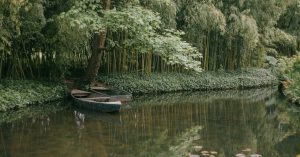 Claude AI现身Chrome：实用优势与安全问题兼具的有前景的实验