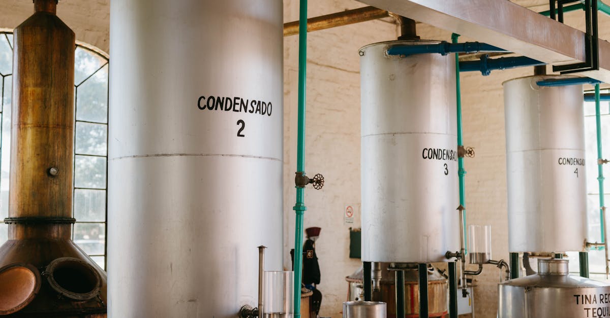 How AI is revolutionizing SEO, according to the August 2025 edition of Reactor