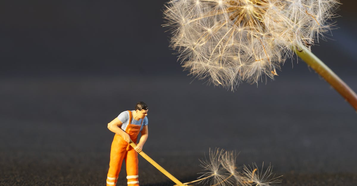 découvrez notre guide complet sur l'échelle salariale, comprenant des informations sur les différents niveaux de rémunération, les critères d'évaluation, et des conseils pour optimiser votre salaire. informez-vous pour mieux négocier votre rémunération et faire progresser votre carrière.