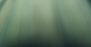 Salary scale for agreement 3100 – Electricity and gas industries – Kevin Grillot