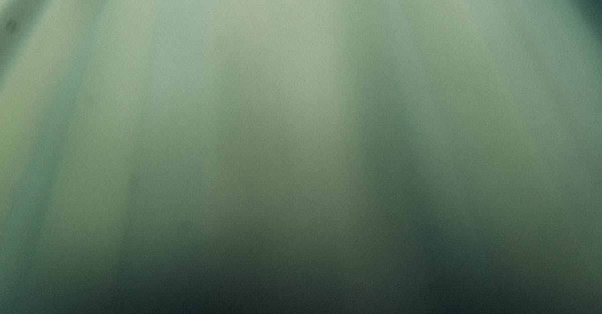 découvrez notre guide complet sur les échelles salariales, qui vous aide à comprendre les différentes catégories de salaires, les facteurs influençant la rémunération et les tendances sur le marché du travail. optimisez vos attentes salariales et préparez-vous à négocier avec succès!