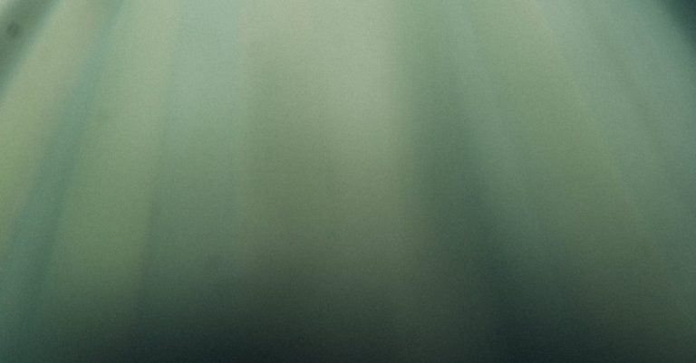 découvrez notre guide complet sur l'échelle salariale, incluant des conseils sur la négociation des salaires, les tendances du marché et l'importance de la transparence salariale pour optimiser vos choix professionnels.