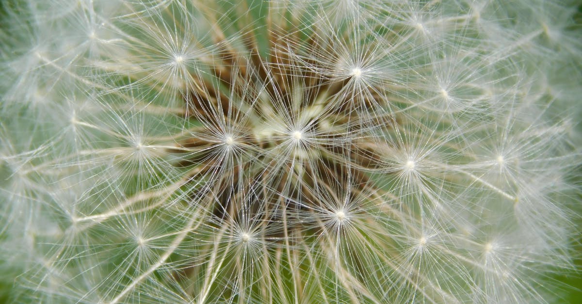 Common Crawl — это обширный общедоступный архив веб-данных, предоставляющий бесплатный доступ к миллиардам страниц для поиска и анализа онлайн-контента.