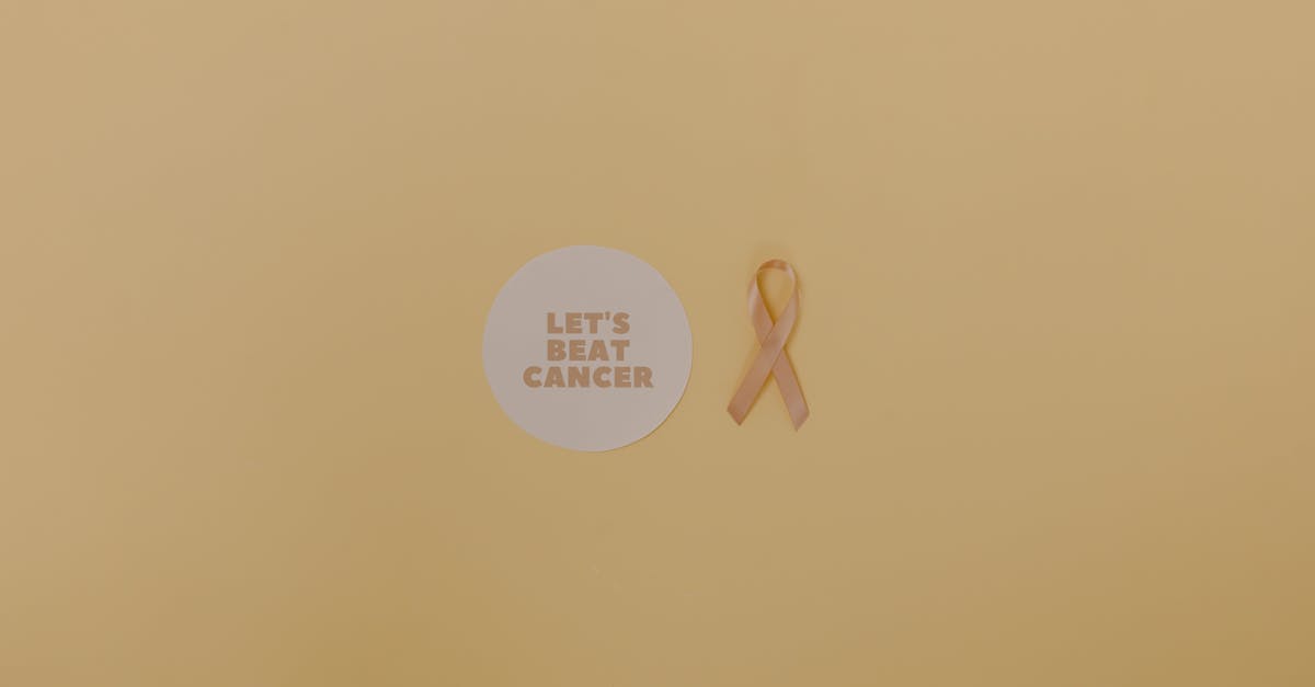 Kurz gesagt: Durch die Priorisierung visueller Konsistenz sorgen Sie dafür, dass Sie auf den ersten Blick wahrgenommen werden – ein entscheidender Vorteil im SEO-Wettbewerb.