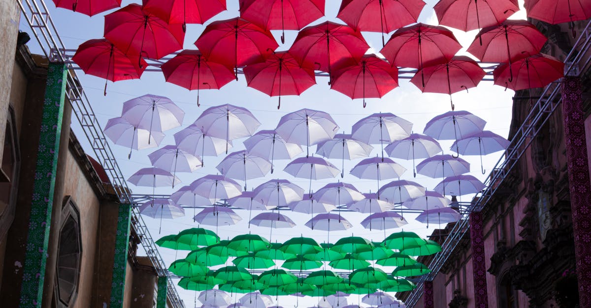 Complete guide for local ChatGPT installation: tutorials, tips, and step-by-step configuration to use ChatGPT directly on your machine.