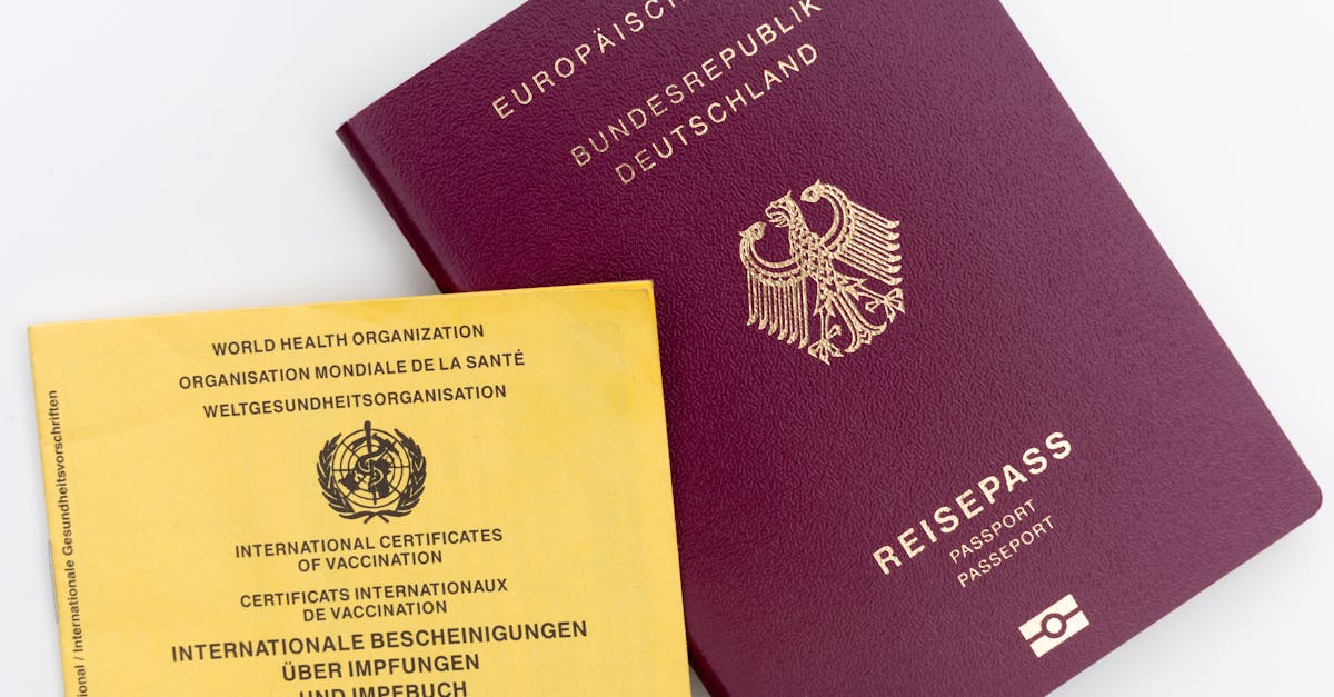 Wie Sie Ihre Domain effektiv verifizieren, um Ihre Website zu schützen