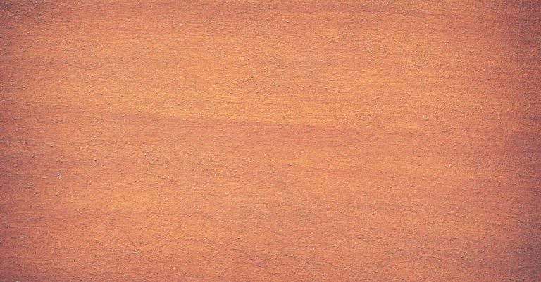 découvrez comment utiliser la technique de disavow pour désavouer les liens toxiques et protéger le référencement naturel de votre site web efficacement.