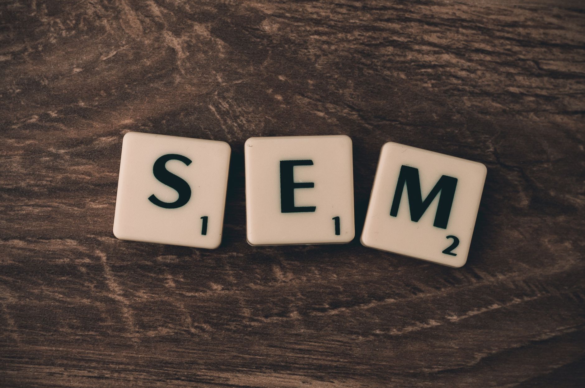 Wikidata SEO : le levier méconnu pour dominer Google en 2026